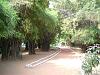 09-Rajgir-Veluvana1.jpg
